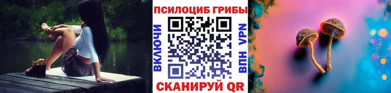 Галлюциногенные грибы Psilocybe  гидра как зайти  мориарти формула  Скопин 