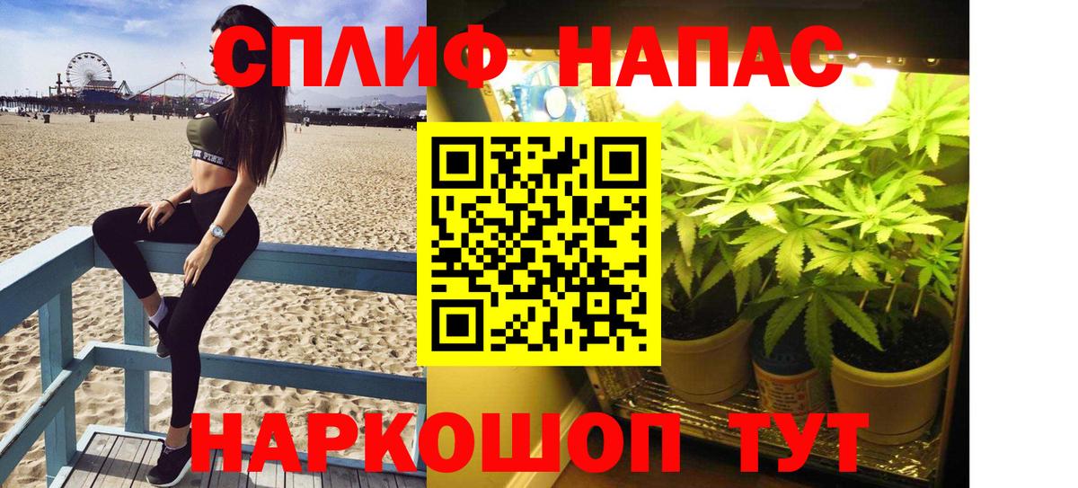 Скопин  Бошки Шишки AK-47  Конопля Amnesia  Бошки Шишки Amnesia  Вход с VPN 